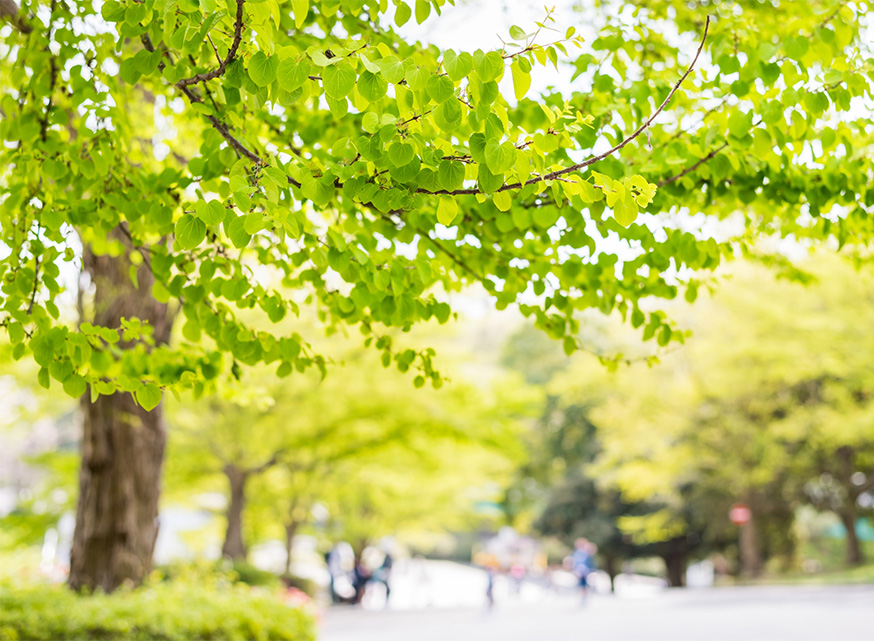 私たちが皆様のためにできること